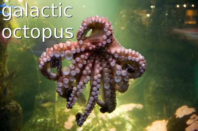 galactic octopus?